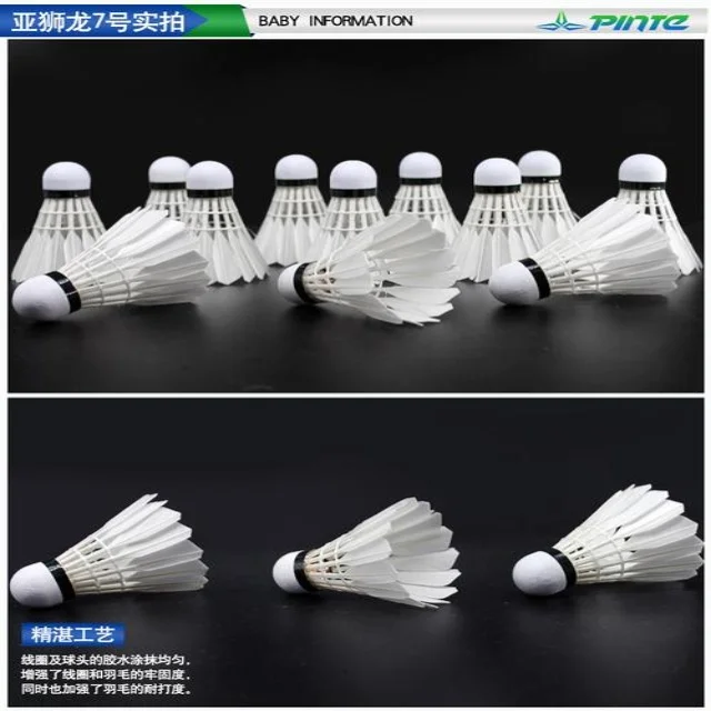 张雨霏复训计划初见成效备战亚运